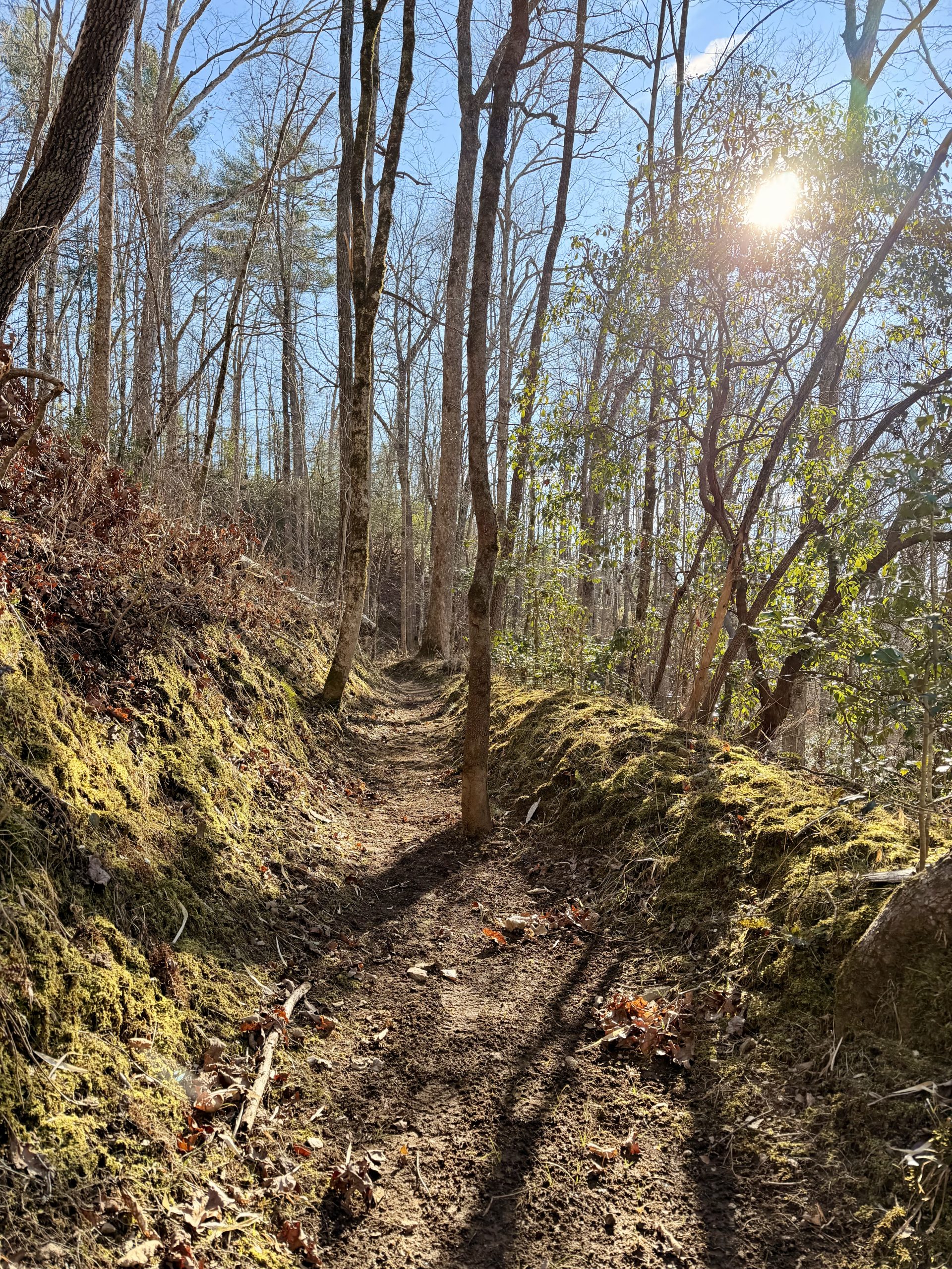 Hidden in Plain Sight: Walking the Waterways of Georgia’s Gold Rush